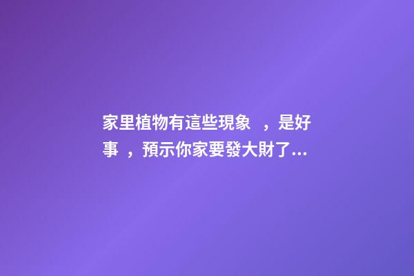 家里植物有這些現象，是好事，預示你家要發大財了！